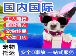 鄂尔多斯机场快递国际宠物托运 【国